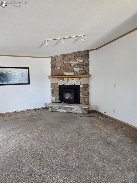 213 Indian Hills Rd, Florence, CO 81226 - unfurnished living room with carpet, track lighting, ornamental molding, and a fireplace
