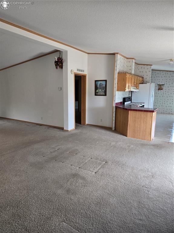 213 Indian Hills Rd, Florence, CO 81226 - unfurnished living room with wallpapered walls, vaulted ceiling, light carpet, ornamental molding, and a textured ceiling
