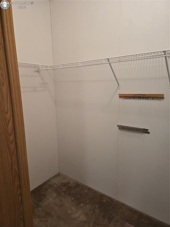 213 Indian Hills Rd, Florence, CO 81226 - spacious closet featuring carpet floors