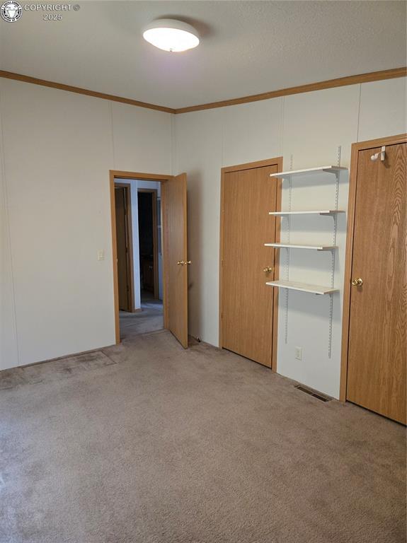 213 Indian Hills Rd, Florence, CO 81226 - carpeted empty room featuring ornamental molding