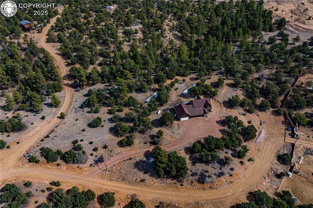 252 Apache Trl, Cotopaxi, CO 81223 - aerial view