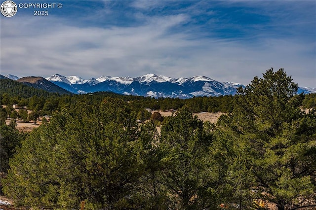 252 Apache Trl, Cotopaxi, CO 81223 - mountain view featuring a view of trees