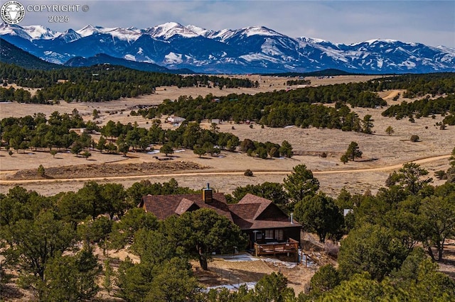 252 Apache Trl, Cotopaxi, CO 81223 - mountain view