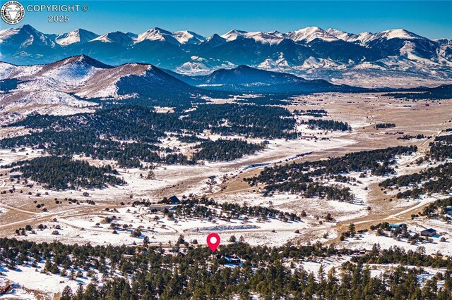 252 Apache Trl, Cotopaxi, CO 81223 - view of mountain feature