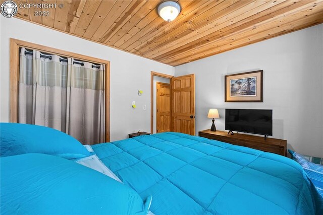 252 Apache Trl, Cotopaxi, CO 81223 - bedroom with wooden ceiling