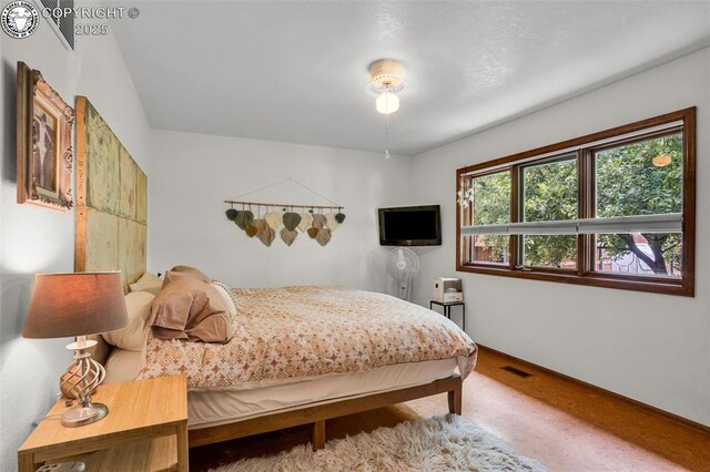1124 Grand Ave, Canon City, CO 81212 - view of carpeted bedroom