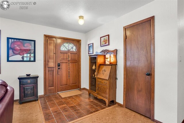 1124 Grand Ave, Canon City, CO 81212 - foyer entrance featuring baseboards