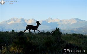 1699 Sangre Dr, Westcliffe, CO 81252 - photo 32