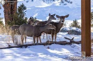 1699 Sangre Dr, Westcliffe, CO 81252 - photo 38