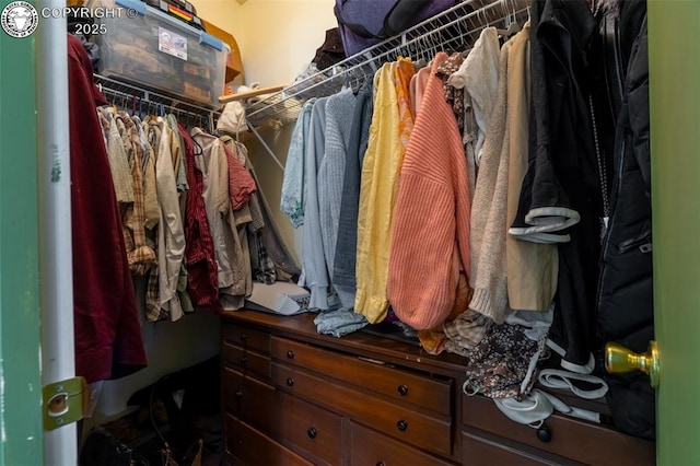 view of spacious closet