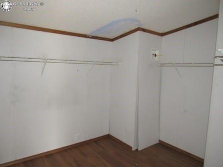 spacious closet featuring wood finished floors