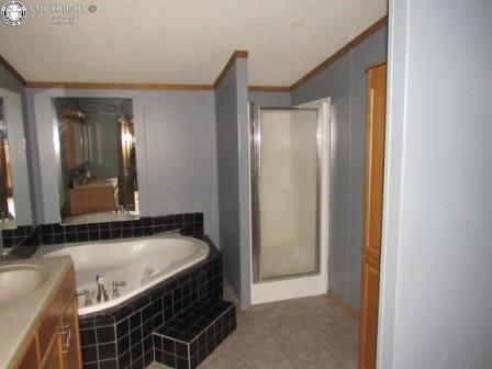 full bathroom with crown molding, a bath, a shower stall, vaulted ceiling, and vanity
