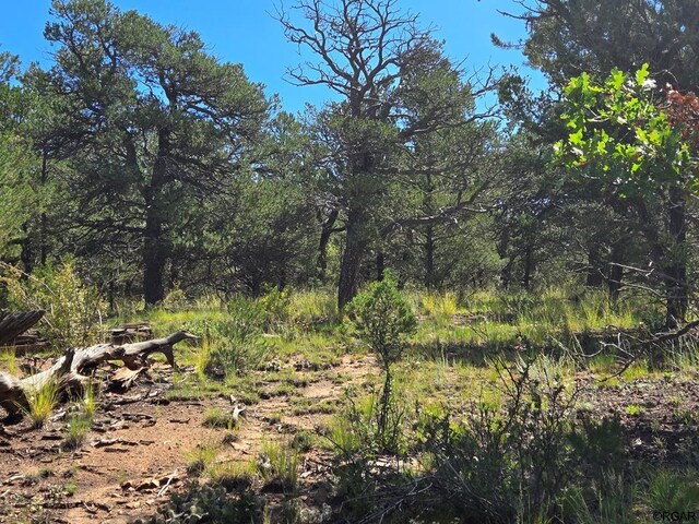 Listing photo 2 for TR-33 10th Trl, Cotopaxi CO 81223