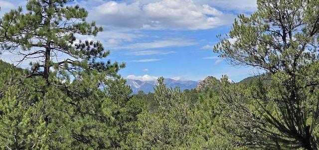 Listing photo 3 for TR-33 10th Trl, Cotopaxi CO 81223