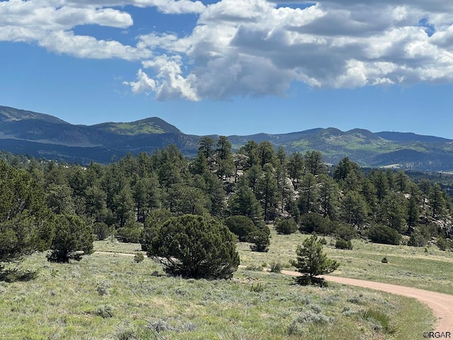 Listing photo 2 for 146 Shawnee Trl, Westcliffe CO 81252