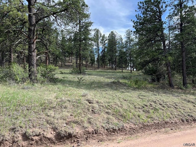 146 Shawnee Trl, Westcliffe CO, 81252 land for sale