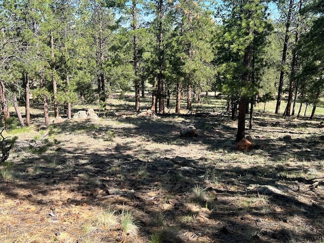 Listing photo 3 for 146 Shawnee Trl, Westcliffe CO 81252