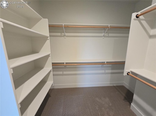 47 Top Rail Trl, Penrose, CO 81240 - photo 8