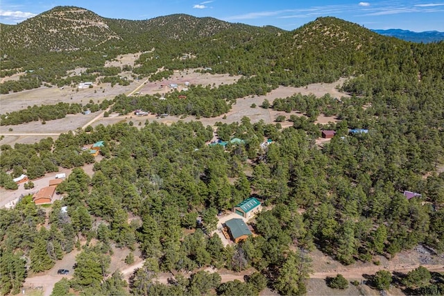 birds eye view of property featuring a mountain view