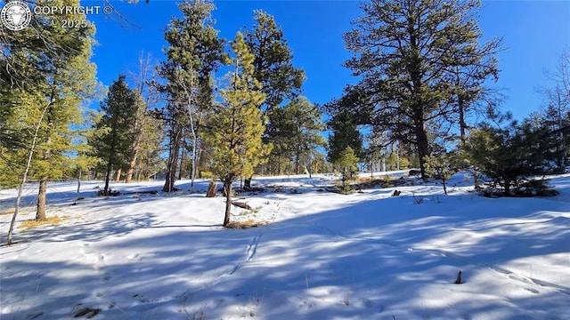 Listing photo 2 for 130 Utah Way, Florissant CO 80816