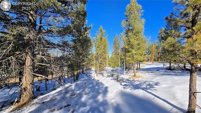 Listing photo 3 for 130 Utah Way, Florissant CO 80816