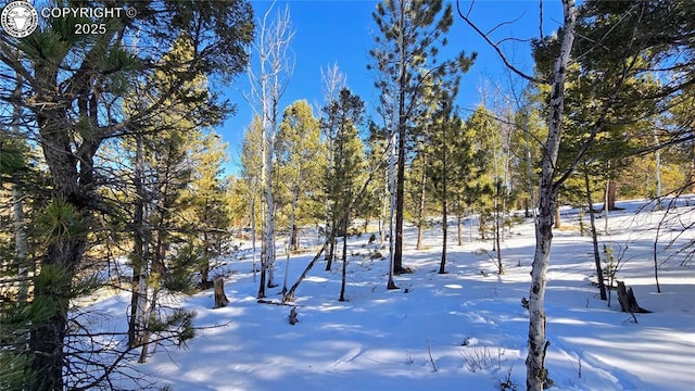 130 Utah Way, Florissant CO, 80816 land for sale