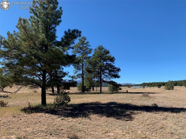 2026 L Path, Cotopaxi, CO 81223 - photo 13
