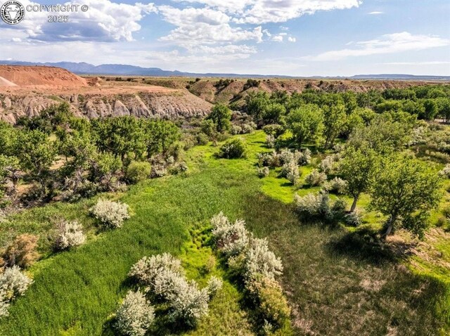 531 County Road 119, Florence, CO 81226 - photo 29