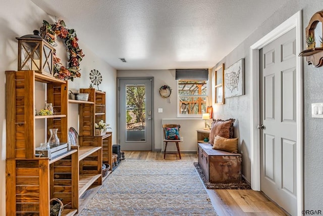 sitting room with light hardwood / wood-style flooring and a textured ceiling