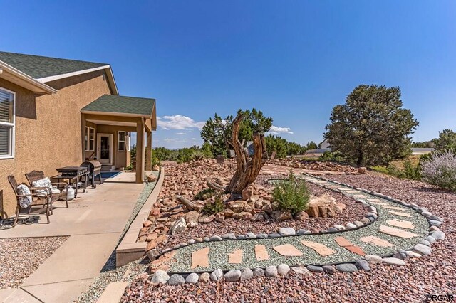 view of yard featuring a patio area