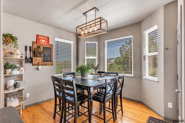 dining room featuring plenty of natural light and light hardwood / wood-style flooring