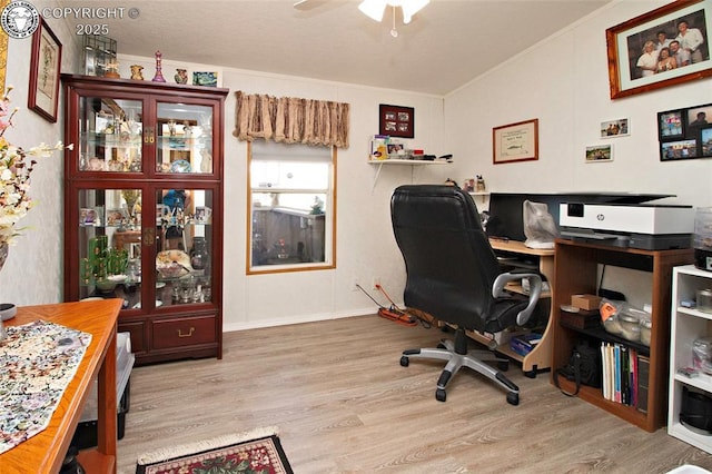 510 N 19th St Unit 1, Canon City, CO 81212 - office space featuring wood finished floors, a ceiling fan, and crown molding