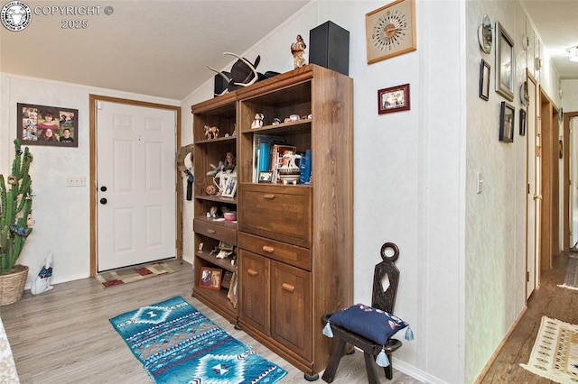 510 N 19th St Unit 1, Canon City, CO 81212 - foyer with wood finished floors and vaulted ceiling