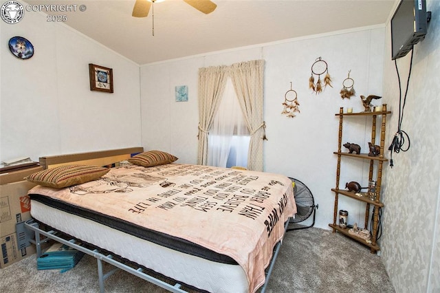 510 N 19th St Unit 1, Canon City, CO 81212 - bedroom featuring carpet flooring, crown molding, and a ceiling fan
