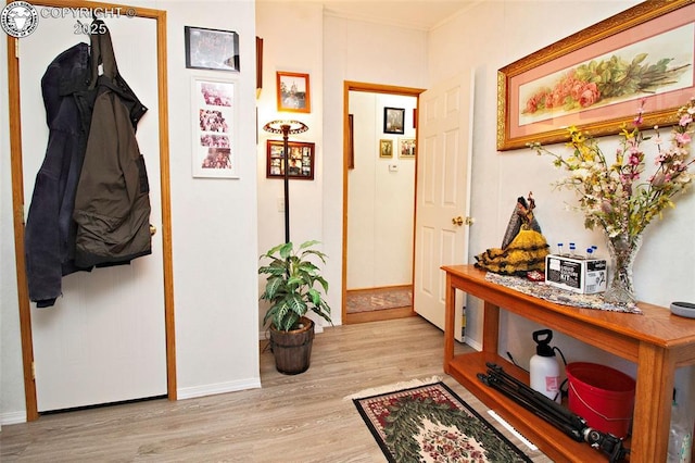 510 N 19th St Unit 1, Canon City, CO 81212 - corridor with wood finished floors and crown molding