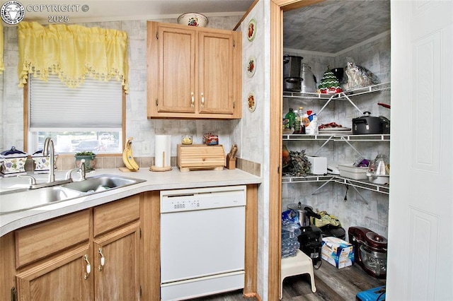 510 N 19th St Unit 1, Canon City, CO 81212 - kitchen with dishwasher, light countertops, wood finished floors, and light brown cabinetry