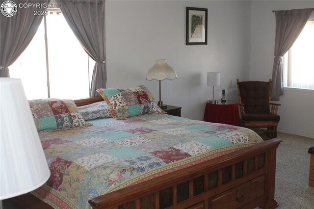 1263 13th St, Penrose, CO 81240 - photo 31