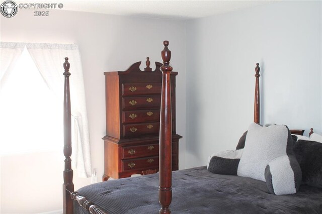 1263 13th St, Penrose, CO 81240 - photo 40