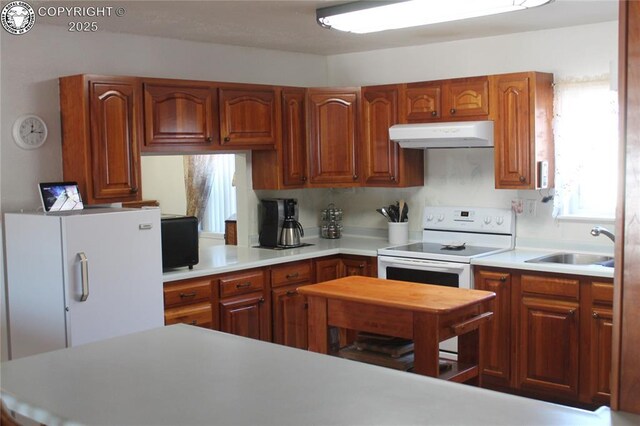 1263 13th St, Penrose, CO 81240 - photo 25
