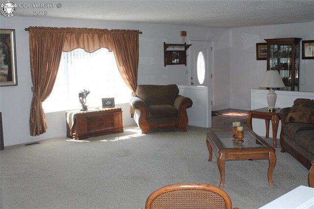 1263 13th St, Penrose, CO 81240 - photo 22