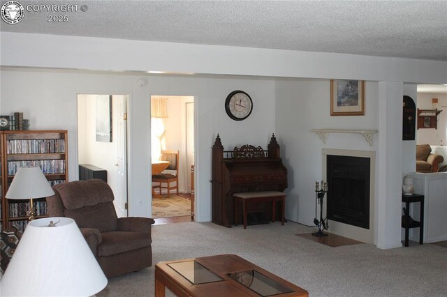 1263 13th St, Penrose, CO 81240 - photo 29