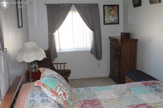 1263 13th St, Penrose, CO 81240 - photo 33