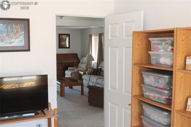1263 13th St, Penrose, CO 81240 - photo 42