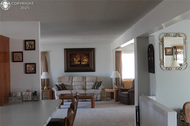 1263 13th St, Penrose, CO 81240 - photo 45