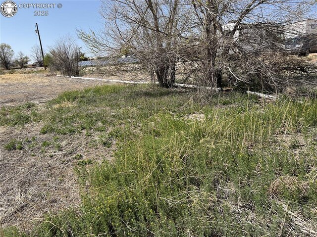 15941 115th Hwy, Penrose, CO 81240 - photo 5