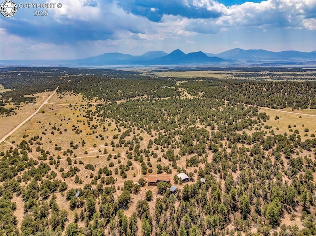 5131 County Road 634, Gardner, CO 81040 - photo 47