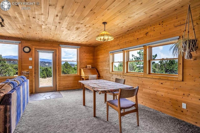 5131 County Road 634, Gardner, CO 81040 - photo 13