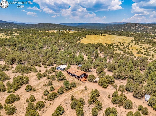 5131 County Road 634, Gardner, CO 81040 - photo 46
