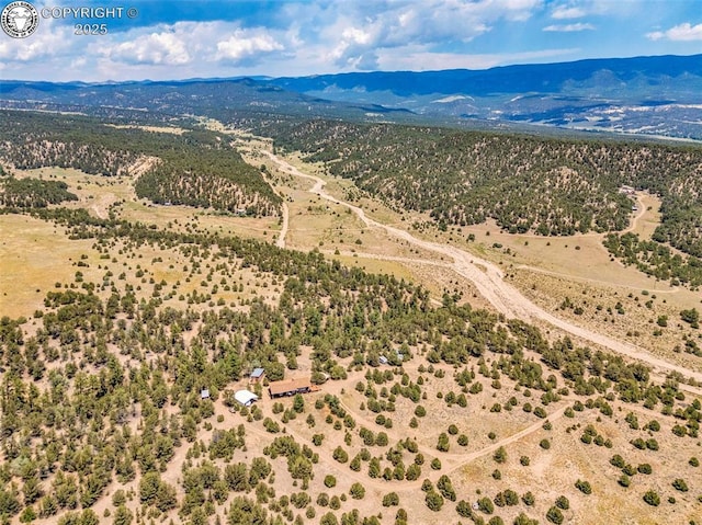 5131 County Road 634, Gardner, CO 81040 - photo 48