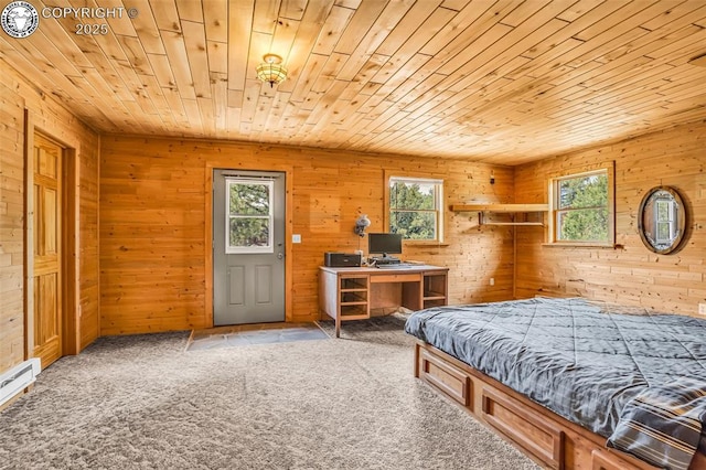 5131 County Road 634, Gardner, CO 81040 - photo 25